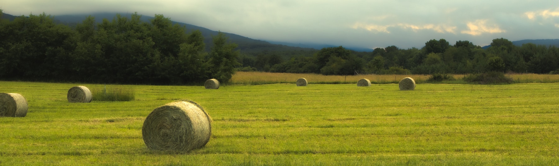 Hay bales across a green field beneath mountain foothills