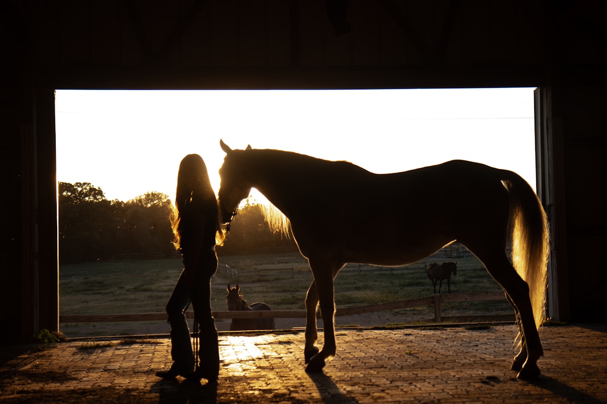A horse owner standing beside her horse in a barn